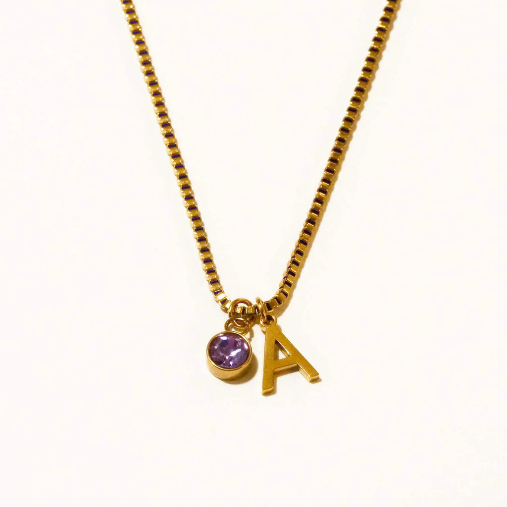 Stainless Steel Birthstone First Letter Necklace